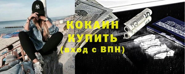 2c-b Бородино