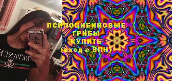 прущая мука Богородск