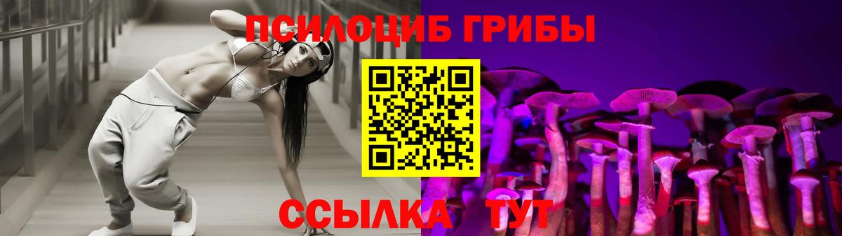 Вязники  Галлюциногенные грибы MAGIC MUSHROOMS  Галлюциногенные грибы мухоморы  Вход с VPN 